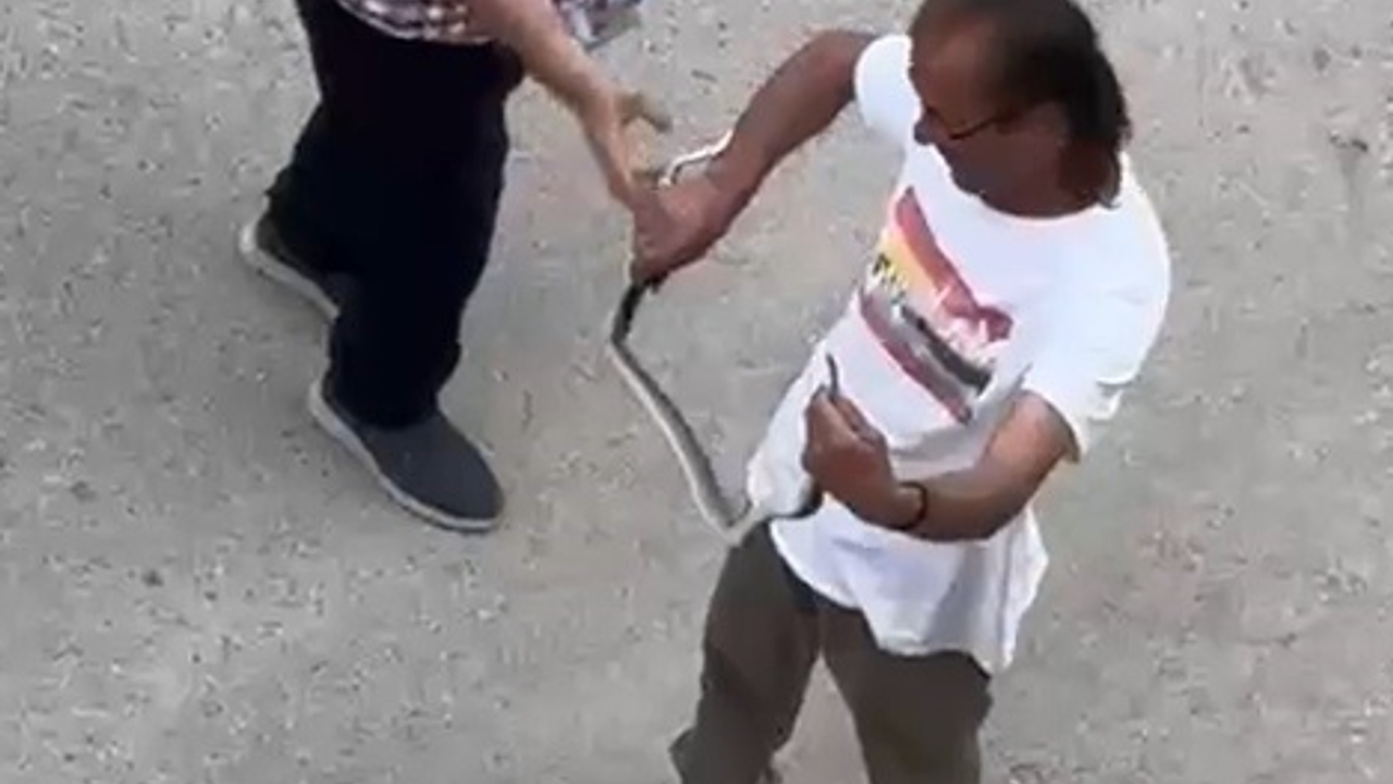 Paniğe sebep olan yılanı eliyle yakaladı
