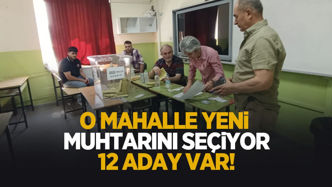 Yağcılar'da seçim heyecanı; 12 aday muhtarlık heyecanı