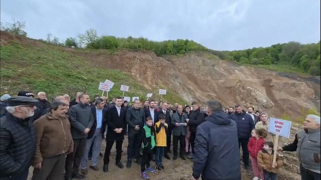 Kızanlık'taki ağaç kesimi davasında yürütmeyi durd