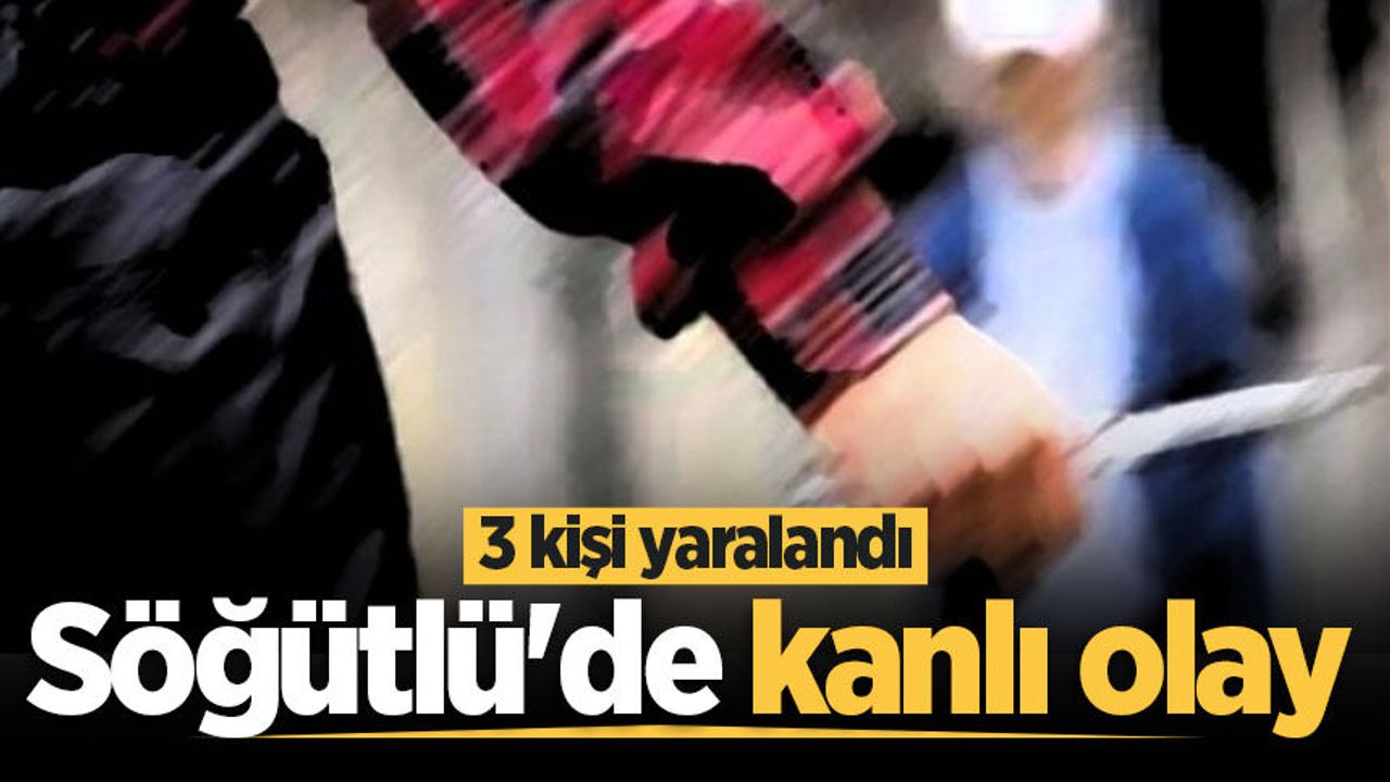 Söğütlü'de kanlı olay: Yaralılar var