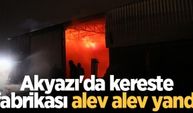 Akyazı'da kereste fabrikası alev alev yandı