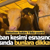 YAŞAM