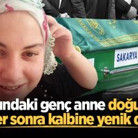 YAŞAM