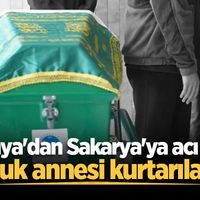 YAŞAM