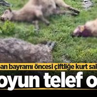 ASAYİŞ