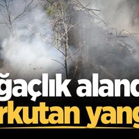 ASAYİŞ