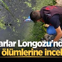 ASAYİŞ