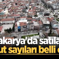 EKONOMİ
