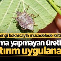 GÜNDEM