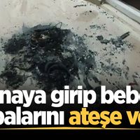 ASAYİŞ