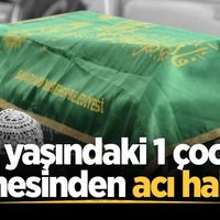 YAŞAM