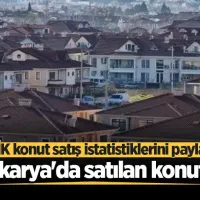 EKONOMİ