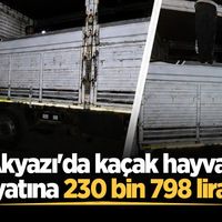 ASAYİŞ