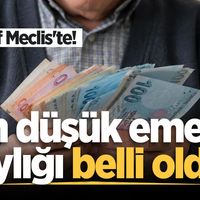 EKONOMİ