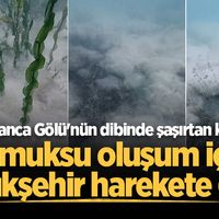  SAKARYA