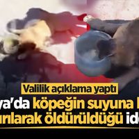 GÜNDEM
