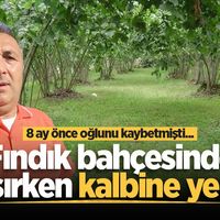 YAŞAM