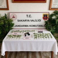 ASAYİŞ