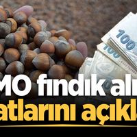 EKONOMİ