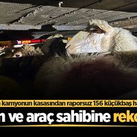 ASAYİŞ