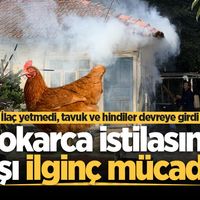  SAKARYA