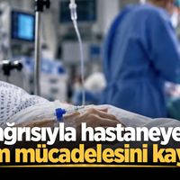 YAŞAM
