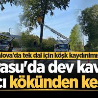  SAKARYA