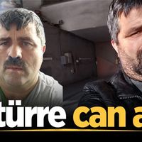 YAŞAM