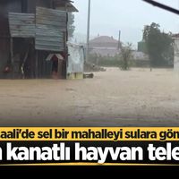  SAKARYA