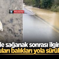  SAKARYA