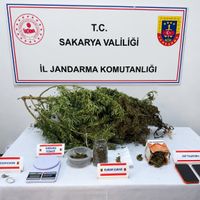 ASAYİŞ