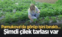 Pamukova'da görüp işini bıraktı... Şimdi çilek tarlası var