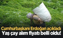 Cumhurbaşkanı Erdoğan açıkladı: Yaş çay alım fiyatı belli oldu!