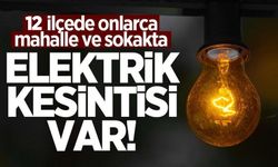 Dikkat: Sakarya'da 12 ilçede elektrikler kesilecek!