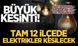 Hafta sonu Sakarya'nın 12 ilçesinde elektrikler kesilecek!