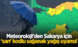 Meteoroloji'den Sakarya için 'sarı' kodlu sağanak yağış uyarısı!