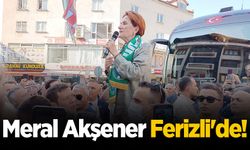 Meral Akşener Ferizli'de!