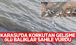 Karasu'da rip akıntısına dikkat!