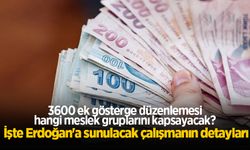 3600 ek gösterge kapsamında kimler var? İşte Erdoğan'a sunulacak çalışmanın detayları