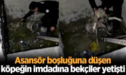 Asansör boşluğuna düşen köpeğin imdadına bekçiler yetişti