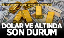 İki haftanın en düşük seviyesini görmüştü: Dolar ve altında son durum!