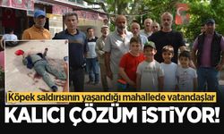 Köpek saldırısının yaşandığı mahallede vatandaşlar kalıcı çözüm istiyor!