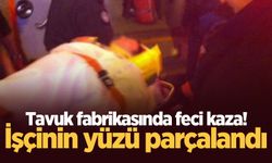 Tavuk fabrikasında feci kaza! İşçinin yüzü parçalandı