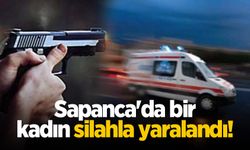 Sapanca'da bir kadın silahla yaralandı!