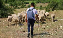 Liseli çoban, koyunlarını güttüğü tepelerde üniversiteye hazırlanıyor
