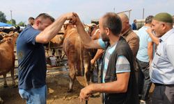 Hayvan pazarında bayramı öncesi yoğunluk arttı