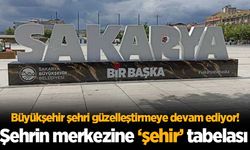 Şehrin merkezine 'şehir' tabelası