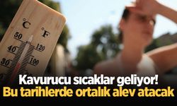 Kavurucu sıcaklar geliyor! Bu tarihlerde ortalık alev atacak