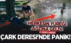 Çark Deresi’nde panik: Herkesin yüreği ağzına geldi