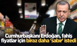 Cumhurbaşkanı Erdoğan, fahiş fiyatlar için biraz daha 'sabır' istedi